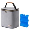 BABEYER Insulated Breastmilk Cooler Bag and Baby Bottle Bag with