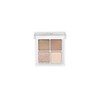 b idol The Eye Palette R 08 Serious Brown Eye