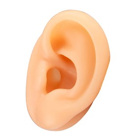 Human Ear Model Simulation Artificial Human Left Ear Silicone Ear Model for Ear Picking, Ear Piercing Teaching, Acupuncture (Left Ear)