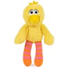 GUND Sesame Street Official Big Bird Take Along Buddy Plush,