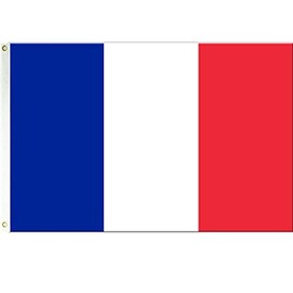 France 3x5 Polyester Flag