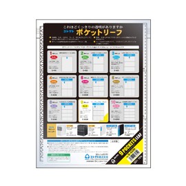 Correct Pocket Folder.