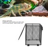 Reptile Lamp Cover Professional Prevents Scald Protective Reptile Heater Lamp