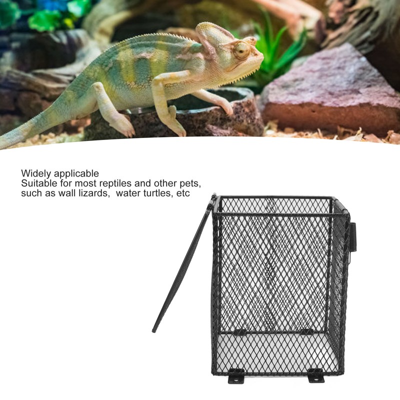 Reptile Lamp Cover Professional Prevents Scald Protective Reptile Heater Lamp