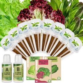 Lettuce Seed pod Kit for Hydroponics, Includes Iceberg Lettuce/Mixed Greens/Romaine Seed, Grow Sponges, Baskets, Domes, A&B Plant Food - Hydroponics Supplies for Most Brands 8-POD