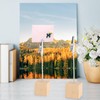 Pack of 20 Photo Holders with Clips, Durable Photo Holder,