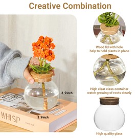 Plant Propagation Station,Hydroponic Terrarium Vase,Desktop Glass Planter Station,for Houses,Garden Decorations,ropagating Hydroponic Plants,Centerpiece Office,Home Garden Decor (6)