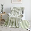 PLEASANT BOULEVARD | Fuzzy Throw Blanket Double-Sided Design Checkered Striped