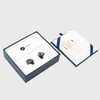 TINHIFI P1 MAX II Wired in-Ear Monitors – Next-Gen 14.2mm