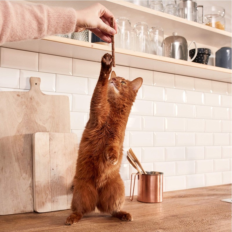 GimCat Sticks Salmon & Trout - Soft Chew Sticks with