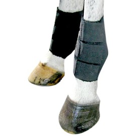 Intrepid International Air Lite Neoprene Ankle Boot