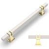 Amerdeco 10 Pack Brushed Satin Nickel and Gold Cabinet Pulls