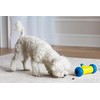 JW Pet 32290 RoboBone Electronic Treat Dispenser, Yelow/Blue