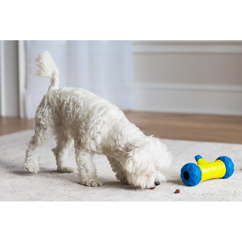 JW Pet 32290 RoboBone Electronic Treat Dispenser, Yelow/Blue