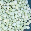 Generic Thorogreen Lima Bean Seeds- 3 lb., White