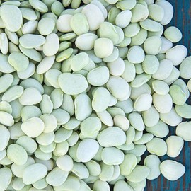 Generic Thorogreen Lima Bean Seeds- 3 lb., White