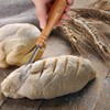 Senvasfa Bread Lame Premium Long Handle Bread Scoring Tool, Hand