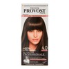 Franck Provost Permanent Colour 4.0 Castanie