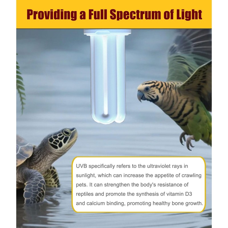 KINGYEENUO E26 UVA UVB Light Bulb for Birds 2.4 UVB