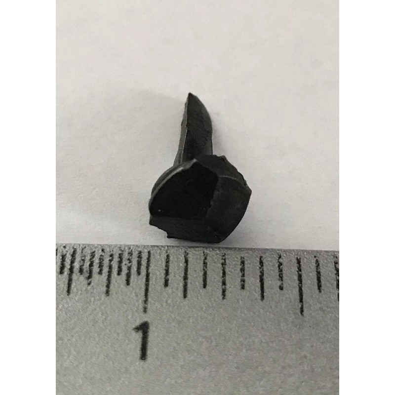 OLD NAIL SOURCE 5/8" Steel Decorative Rose Head Nails -