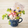 HEADS MCF-C2 Message Cards, Made in Japan, 3.6 x 2.2