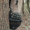 GBACHOOSE 12 Pack Screw in Tree Steps for Hunting 5