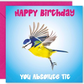 Cult Kitty Rude Birthday Cards for Men - You Absolute Tit - Funny Birthday Card for Men, Birthday Card Dad, Funny Male Birthday Cards for Men