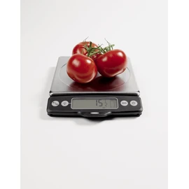 OXO Good Grips 11 Pound Food Scale with Pull-Out Display, Stainless Steel
