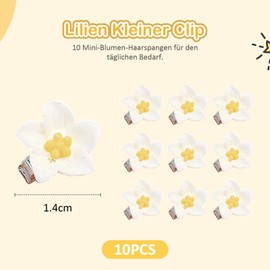 10 Stück weiße Mini Blumen Haarspangen,niedliche Haarspangen,Kleine Haarspangen Blumen-Haarspangenfür Damen,ekorative Haarspangen für Foto, Alltag, Party, Hochzeit