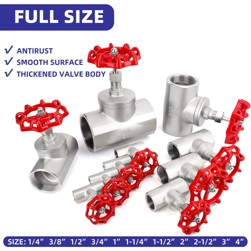1" NPT Stainless Steel B-Type Globe Valve, Accurately Adjust Flow