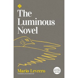 The Luminous Novel