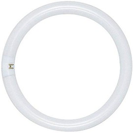 Satco S6506 4100K 40-Watt 4 Pin T9 Circline Lamp, Cool White