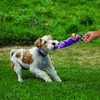 KONG - Tugger Knots Monkey - Tug of War Dog