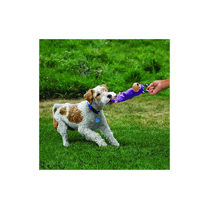 KONG - Tugger Knots Monkey - Tug of War Dog