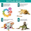 Gargeer 4oz Reptile Multi-Vitamin Supplement. Premium Ingredients, Rich with Organic