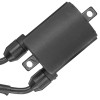 Caltric Ignition Coil for Honda VT1100C VT1100C2 VT1100C3 Shadow 1987-2000