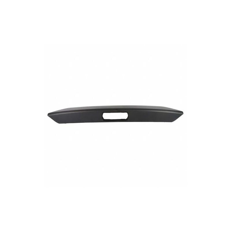 Ford 2014-2018 Transit Connect OEM Tailgate Handle Trim Cover DT1Z-5843400-AA