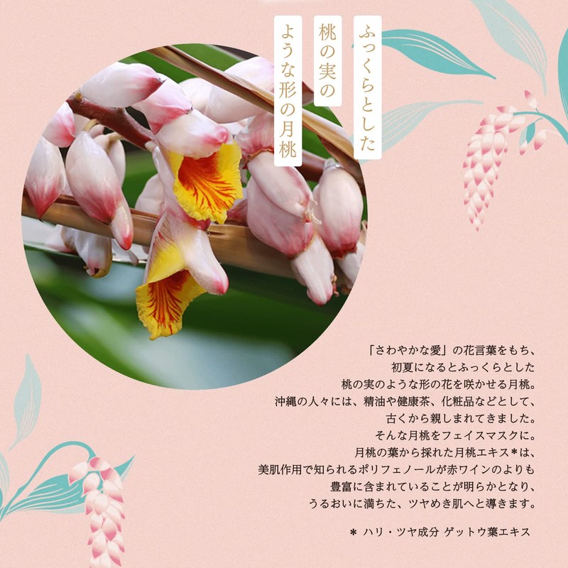 Okinawa of puremiamurururunhaibisukasu Scented Set of 1 X 5 Bags