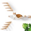 Cat Wall Hammock Set of 3, Wall Shelves with 1