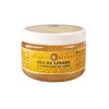 Recuren Plus Gel de Linaza (310 ml)