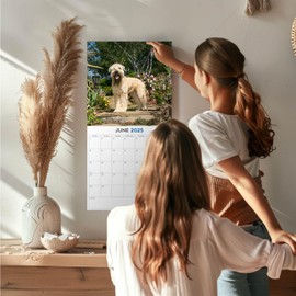 2025 Softcoat Wheaten Terrier Calendar - Dog Breed Wall Calendar - 12 x 24 Open - Thick No-Bleed Paper - 14 Month Planner Calendar Organizing & Planning