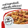 Purina Beneful Incredibites With Farm-Raised Beef Natural Small Breed Dry