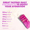 Spruce Daily Electrolytes – Zero Sugar Hydration Sachets with Potassium,