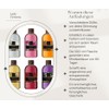 Lady Venezia Raumduft Nachfüllflasche I Diffusor-Nachfüllung I Raumduft Refill I