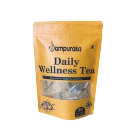 Daily Wellness Herbal Ginger Tea - 30 Pyramid bags