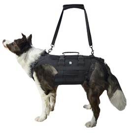 KAJILE Dog Lift Safety Harness,Support and Recovery,Suit for Disability,Sick or Old Dogs Rehabilitation or Walk,Removable Adjustable,Black,L