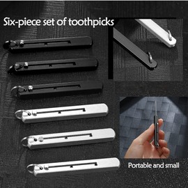 TOBEOME Pack of 6 Portable Toothpicks Toothpick Metal Toothpick Holder for Picnic Outdoor Camping