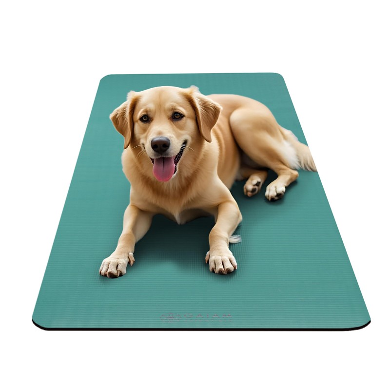 Gaiam Essentials Thick Yoga Mat Fitness & Exercise Mat With