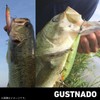 DAIWA Bass GUSTNADO Site Icefish 88S Lure