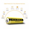 PKCELL 2x AA Rechargeable Batteries NiCD 1000mAh 1.2V Garden Solar